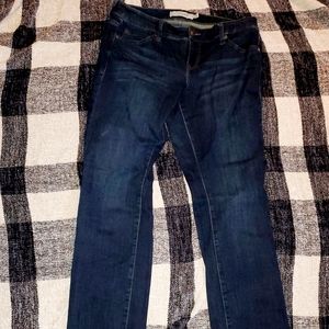 Torrid Jeans